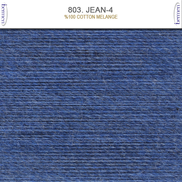 803. JEAN-4
