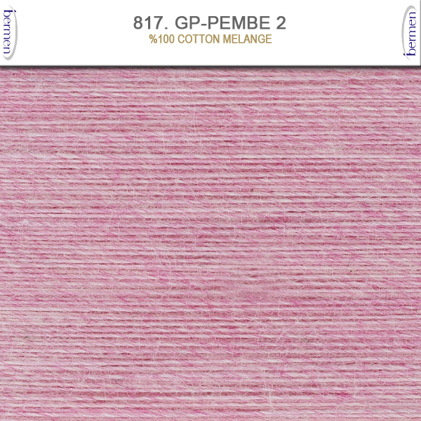 817. GP-PEMBE 2